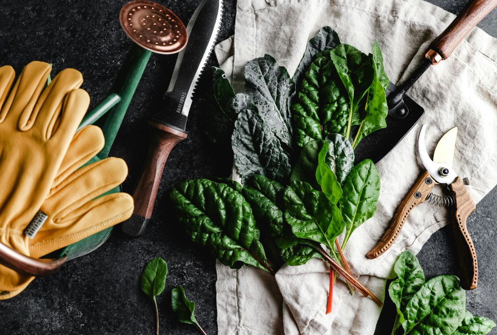 storing-gardening-tools